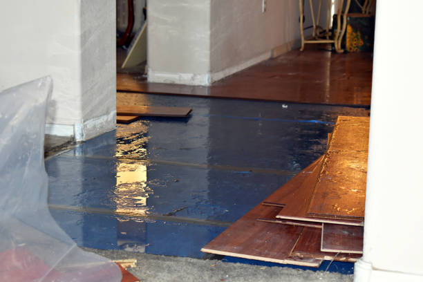 Professional Flood Cleanup technician working in Montpelier, OH
