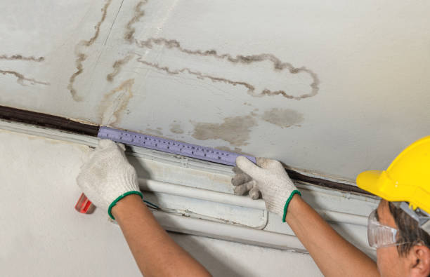 Reliable Flood Cleanup contractor in Montpelier, OH by Water Damage Irwin